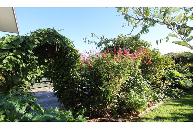 Photo of property in 21 Shirtliff Street, Riversdale, Blenheim, 7201