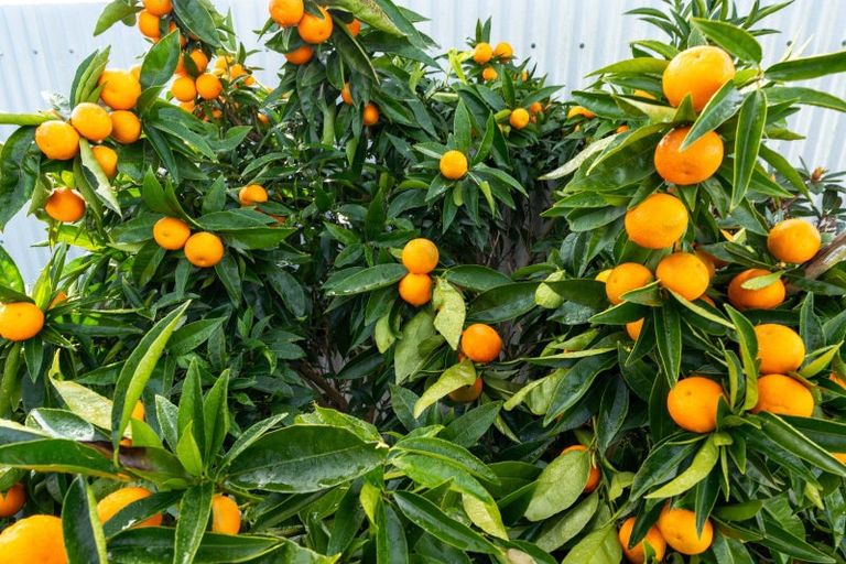 Photo of property in 23 Hathaway Street, Spring Creek, 7202