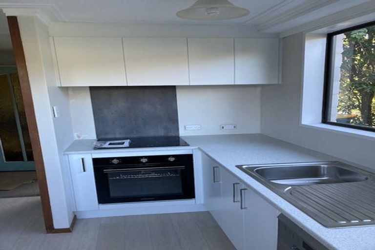 Photo of property in 36 Littlebourne Road, Roslyn, Dunedin, 9010