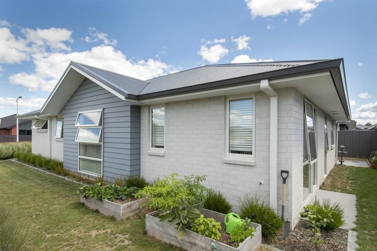 Photo of property in 36 Flack Street, Pyes Pa, Tauranga, 3112