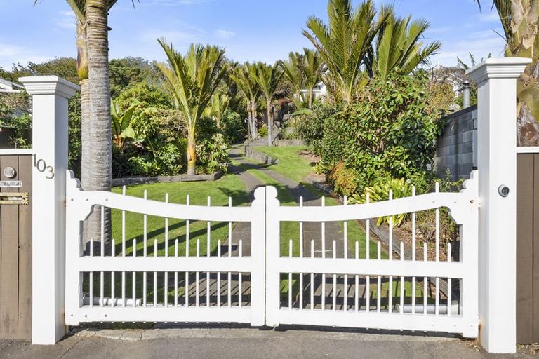 Photo of property in 103 Fulford Street, New Plymouth, 4310