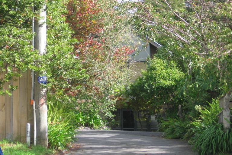 Photo of property in 139 Atkinson Road, Titirangi, Auckland, 0604