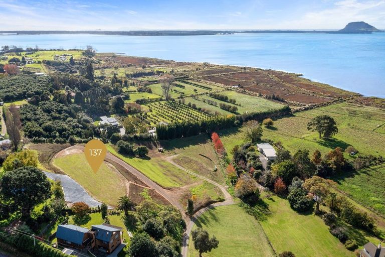 Photo of property in 137 Lochhead Road, Te Puna, Tauranga, 3176