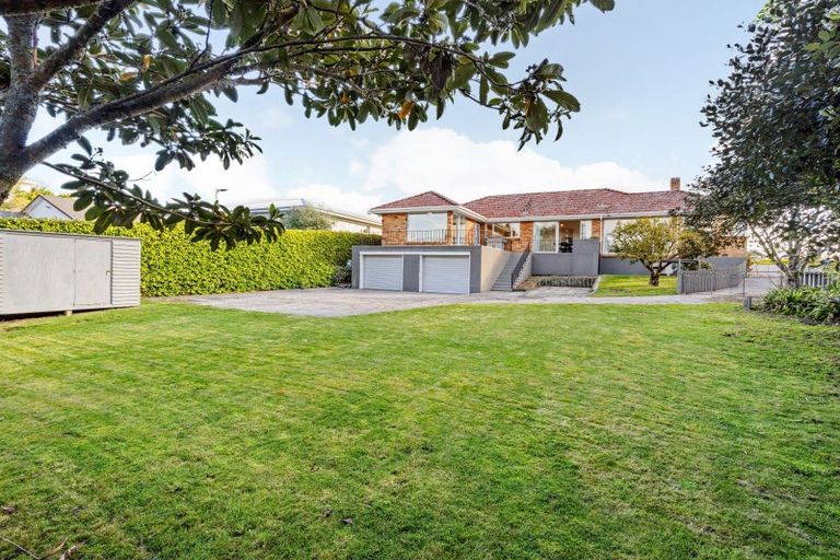 Photo of property in 24 Riverview Terrace, Fairfield, Hamilton, 3214