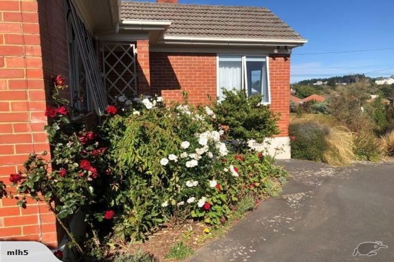 Photo of property in 50 Mayfield Avenue, Wakari, Dunedin, 9010