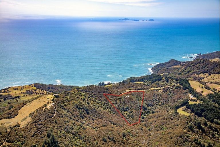 Photo of property in 595 Boat Harbour Road, Whenuakite, Whitianga, 3591