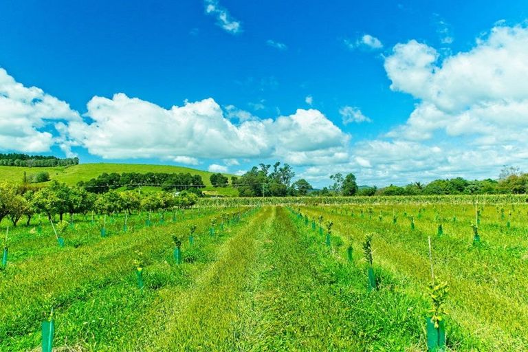Photo of property in 134 Kaimoe Road, Patutahi, Gisborne, 4072