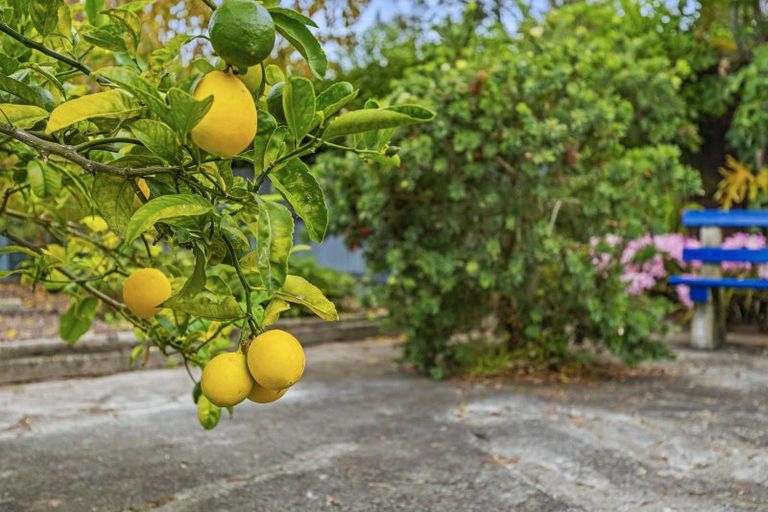 Photo of property in 8 Raine Street, Whanganui East, Whanganui, 4500