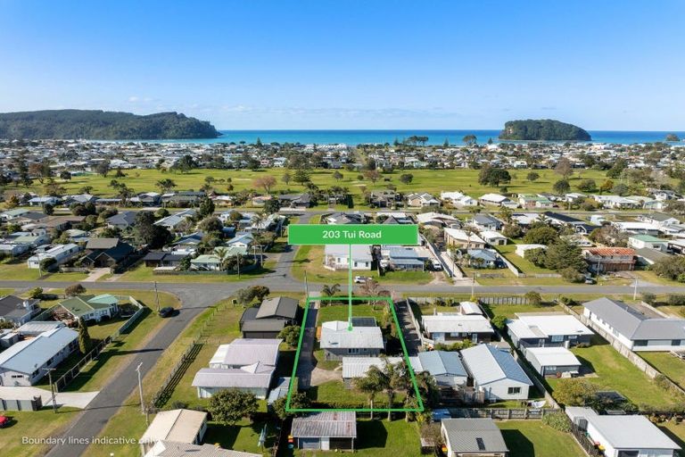 Photo of property in 203 Tui Road, Whangamata, 3620