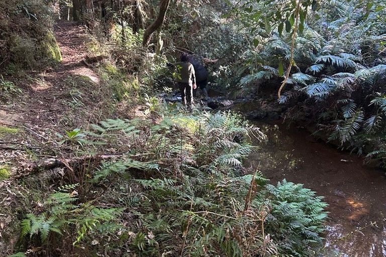 Photo of property in 579 Ormiston Road, Ruakaka, Waipu, 0582