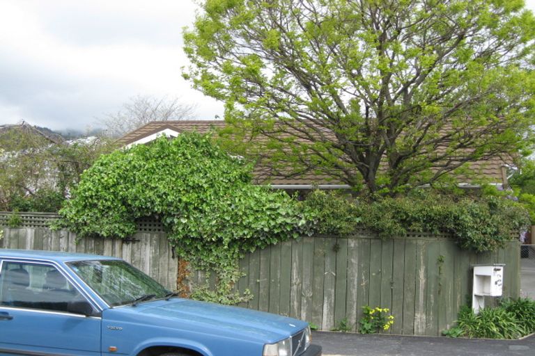 Photo of property in 38 Cambria Street, The Wood, Nelson, 7010