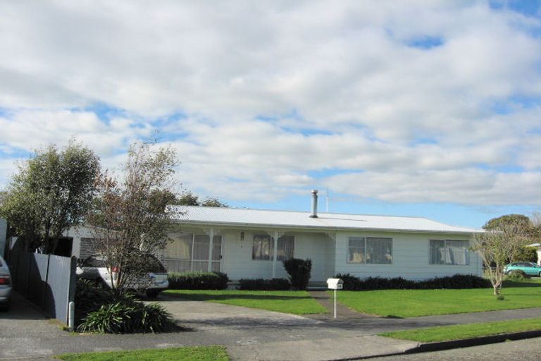 Photo of property in 19 Vogel Street, Levin, 5510