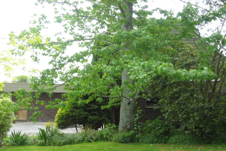 Photo of property in 445 Turere Lane, Te Awamutu, 3800