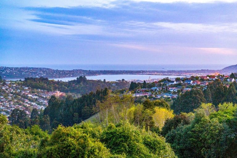 Photo of property in 8 Watkin Street, Pine Hill, Dunedin, 9010