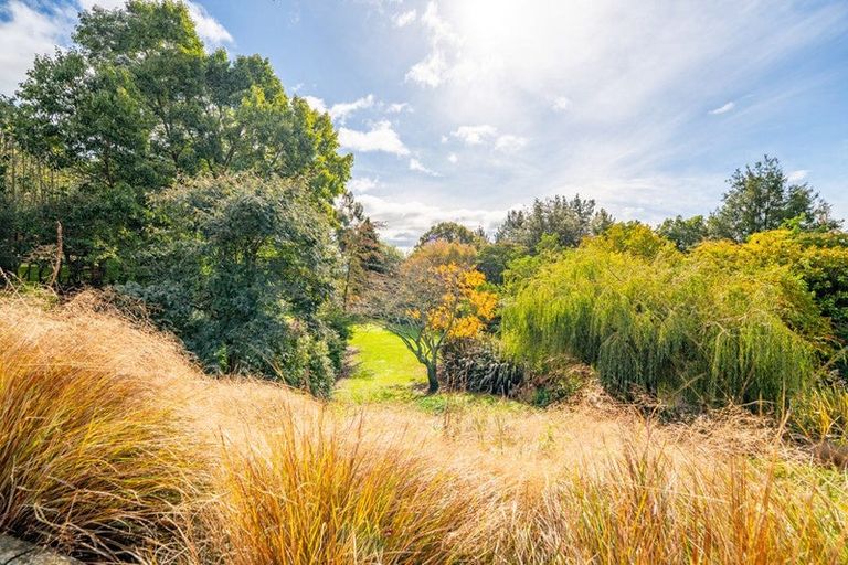 Photo of property in 41 Gaudion Road, Peebles, Oamaru, 9494