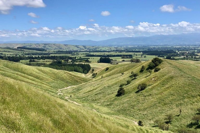 Photo of property in 14 Ranginui Drive, Kaiapoi, 7630