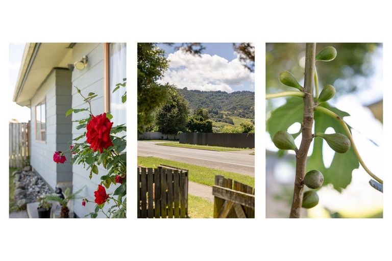 Photo of property in 33 Morrison Road, Taneatua, 3123