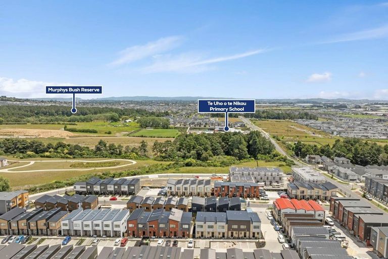 Photo of property in 50 Kiato Lane, Flat Bush, Auckland, 2019