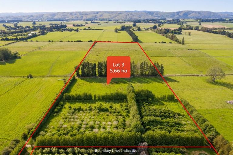 Photo of property in 179 Bidwills Cutting Road, Morison Bush, Greytown, 5794