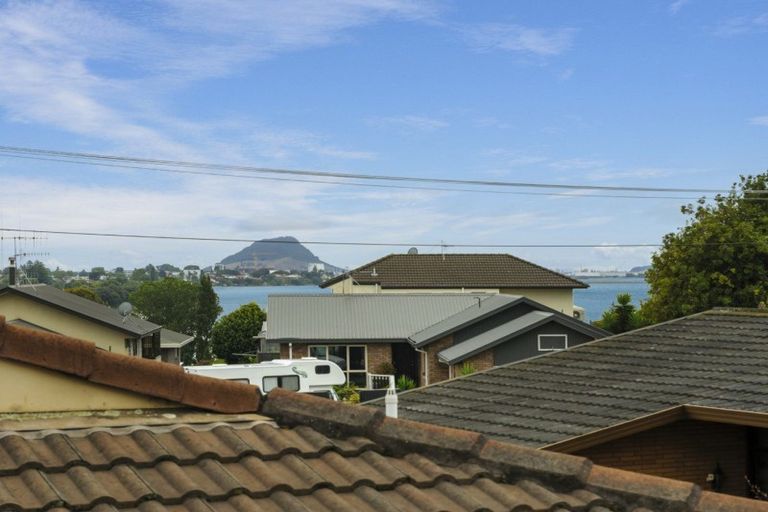 Photo of property in 15b Hairini Street, Hairini, Tauranga, 3112