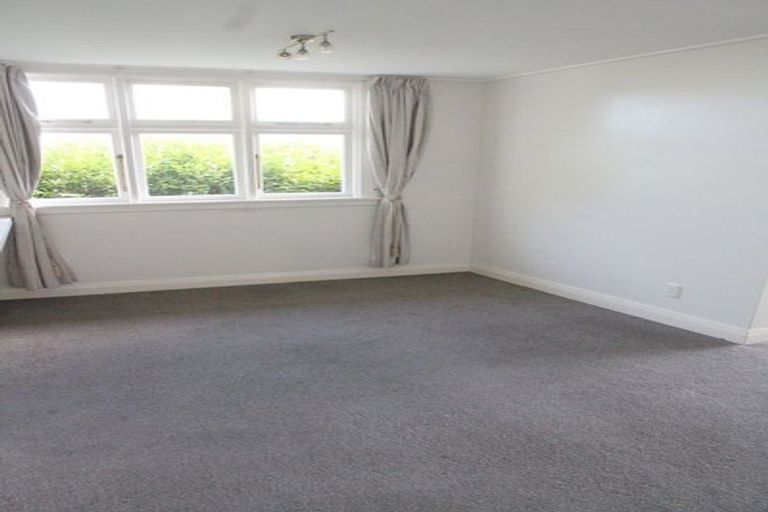 Photo of property in 56 Signal Hill Road, Opoho, Dunedin, 9010