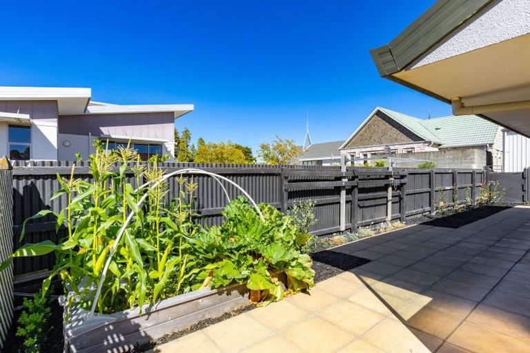 Photo of property in 4b Seymour Street, Blenheim, 7201