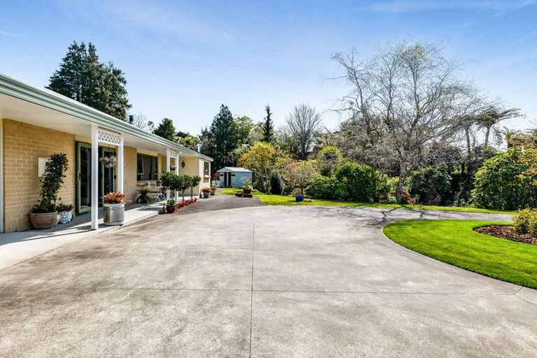 Photo of property in 29 Margaret Street, Stratford, 4332