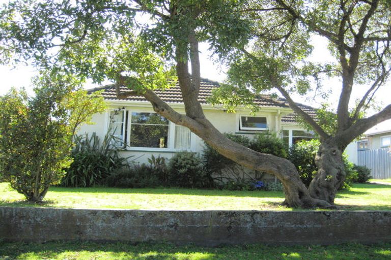 Photo of property in 110 Carlton Avenue, Tawhero, Whanganui, 4500