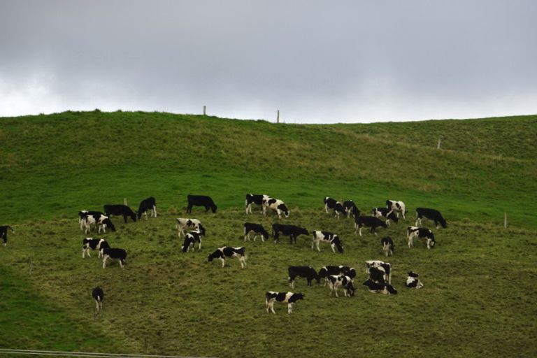 Photo of property in 198 Ballintoy Park Drive, Welcome Bay, Tauranga, 3175