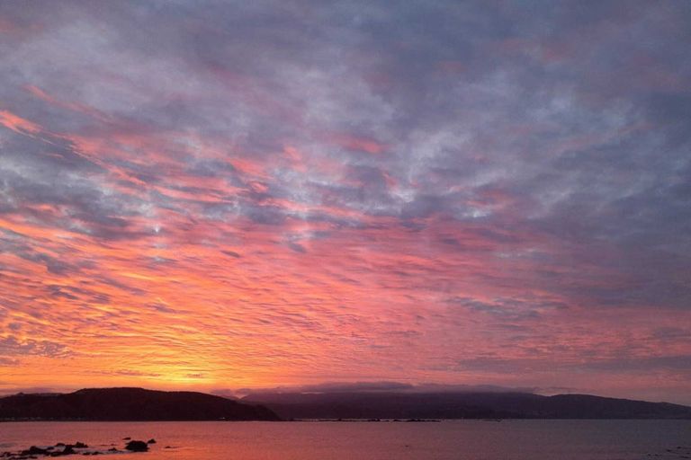 Photo of property in 2/420 Queens Drive, Lyall Bay, Wellington, 6022