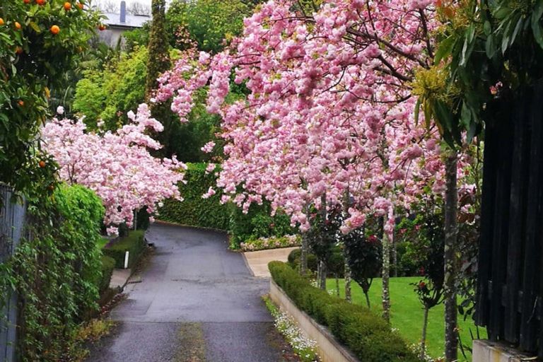 Photo of property in 11 Muritai Crescent, Havelock North, 4130