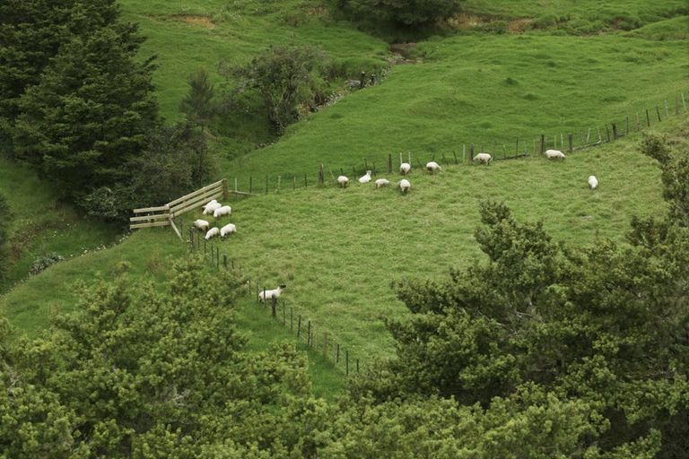 Photo of property in 137 Te Rore Road, Kaitaia, 0481