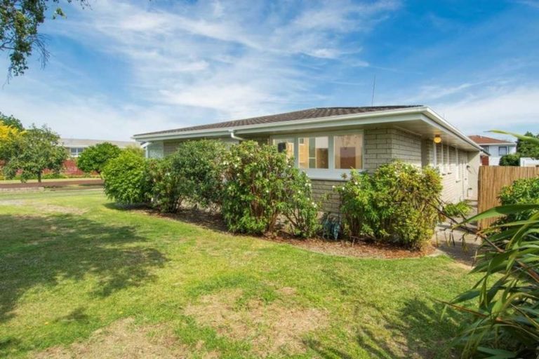 Photo of property in 163a Levers Road, Matua, Tauranga, 3110