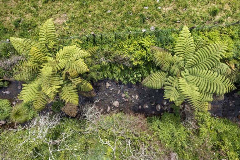 Photo of property in 167 Willoughby Road, Tahawai, Katikati, 3170