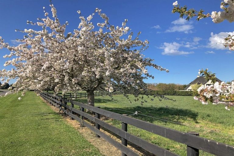 Photo of property in 830 Hills Road, Marshland, Christchurch, 8051