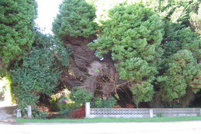 Photo of property in 5 Central Street, Putaruru, 3411