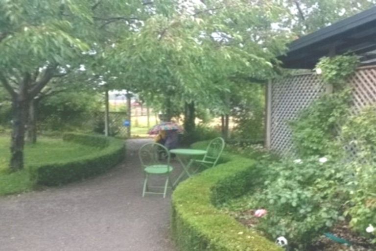 Photo of property in 141 Pearson Road, Cromwell, 9384