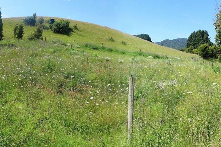 Photo of property in 4435 State Highway 31, Oparau, Te Awamutu, 3878