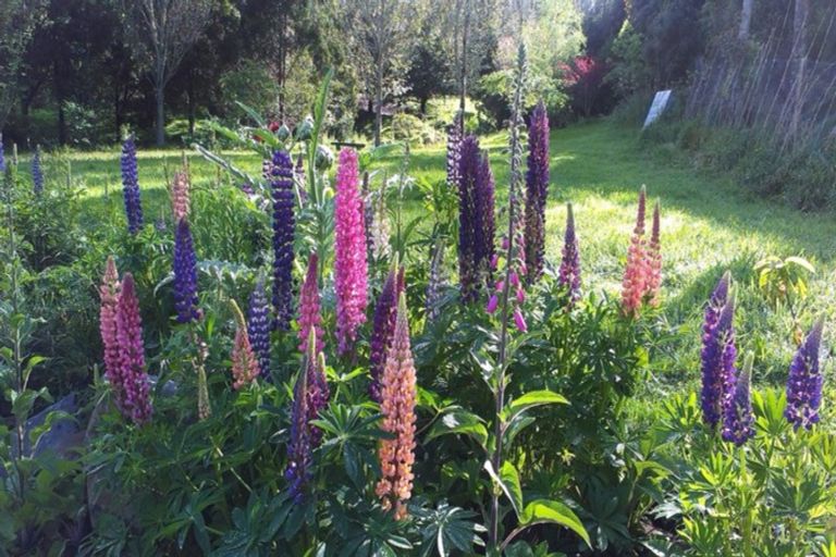 Photo of property in 66 Poulters Road, Leith Valley, Dunedin, 9010