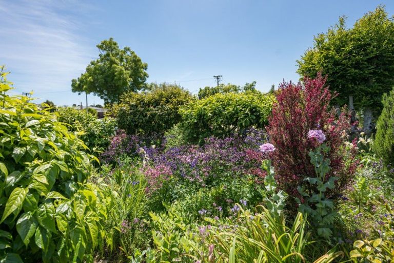 Photo of property in 24 Croucher Street, Richmond, 7020