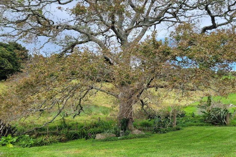 Photo of property in 114 Harris Road, Glenbervie, Whangarei, 0175