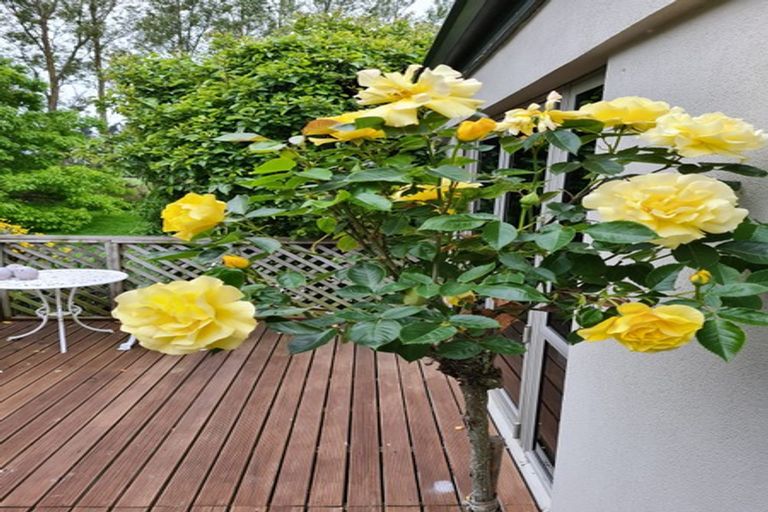 Photo of property in 344 Tramway Road, Leeston, 7682