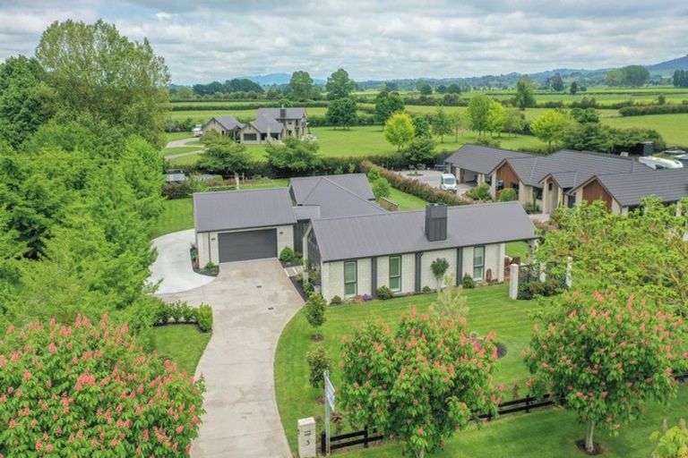 Photo of property in 3 Chestnut Lane, Matamata, 3400