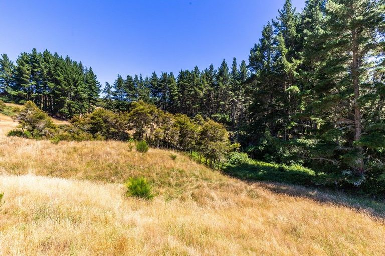 Photo of property in 65 Omori Road, Kuratau, Turangi, 3381