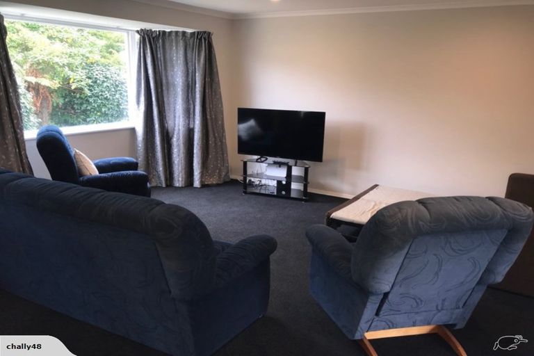 Photo of property in 149 Saint Albans Street, St Albans, Christchurch, 8014