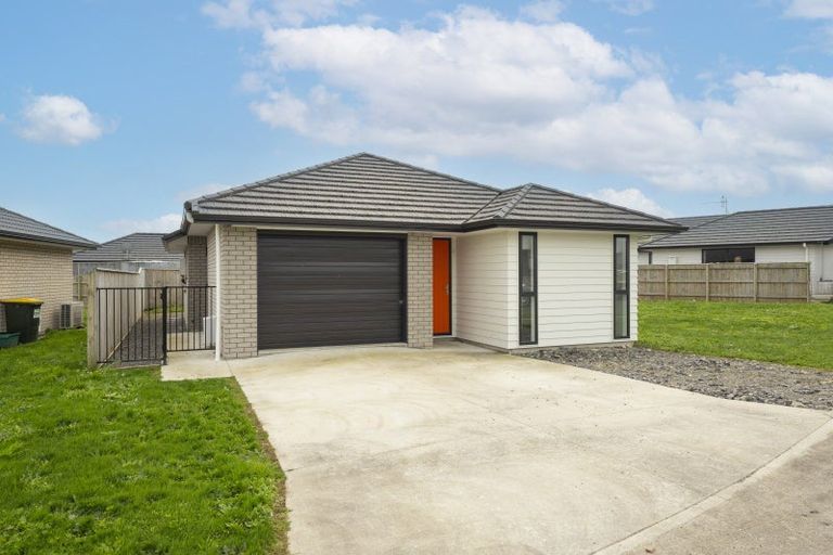 Photo of property in 68 Hinemoa Street, Levin, 5510