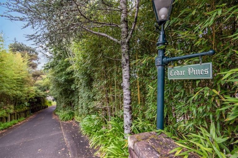 Photo of property in 286 Glenvar Road, Torbay, Auckland, 0630