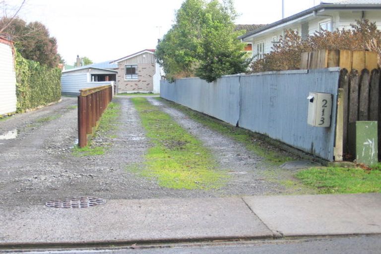 Photo of property in 213 Kenilworth Road, Mayfair, Hastings, 4122