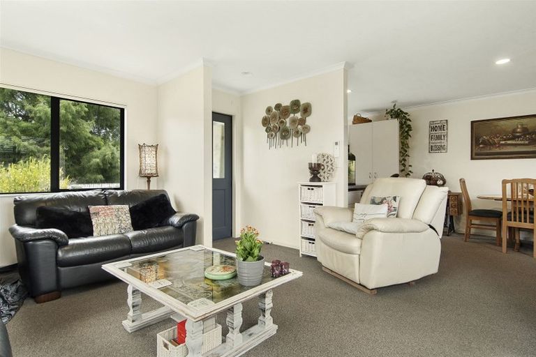 Photo of property in 58b Solomon Street, Brookfield, Tauranga, 3110