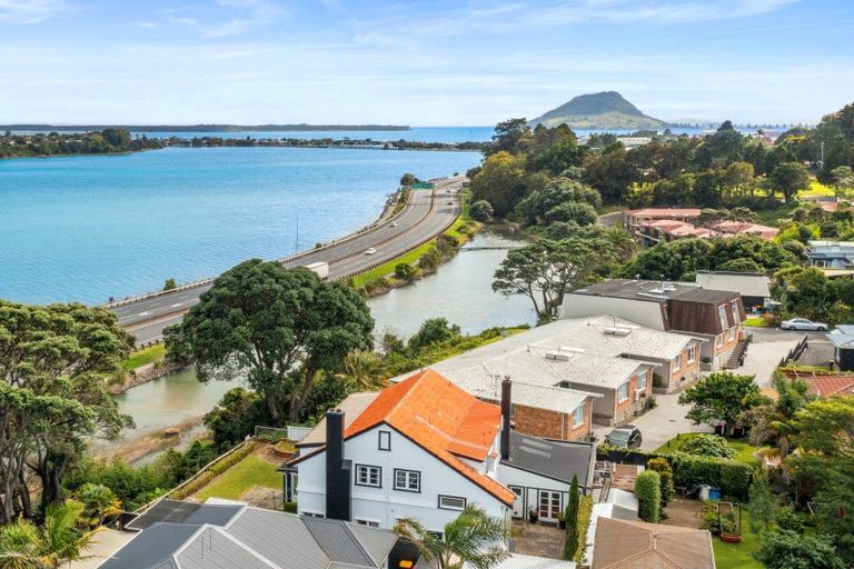 Photo of property in 15 Williams Street, Tauranga, 3110